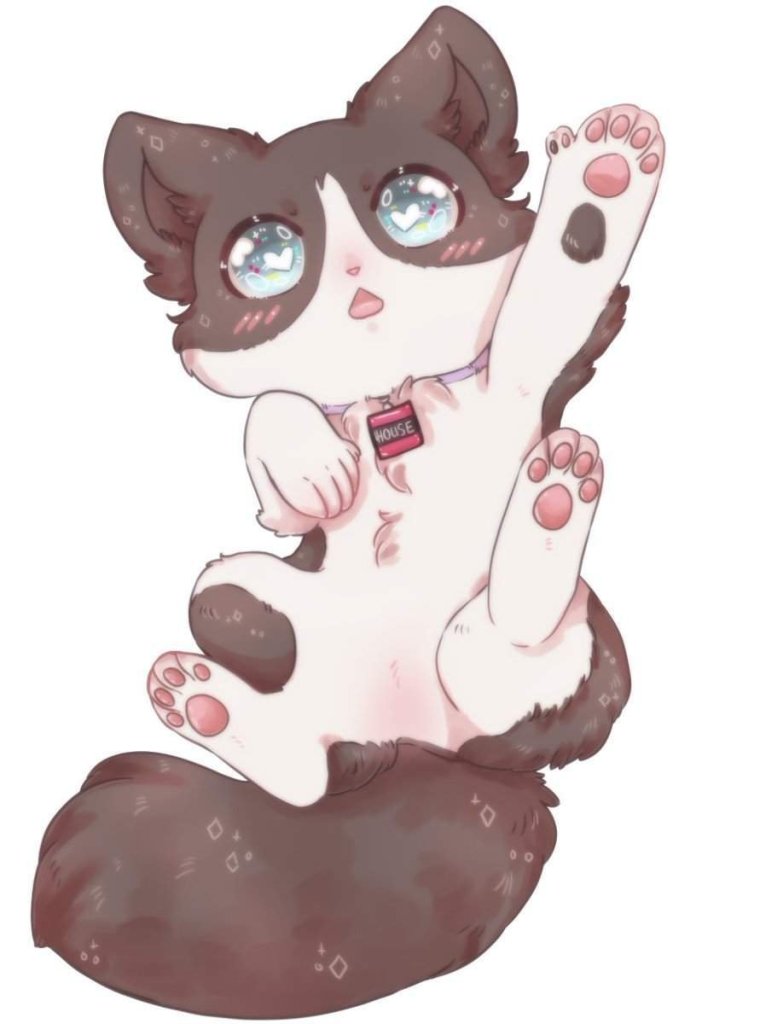 Аниме котики