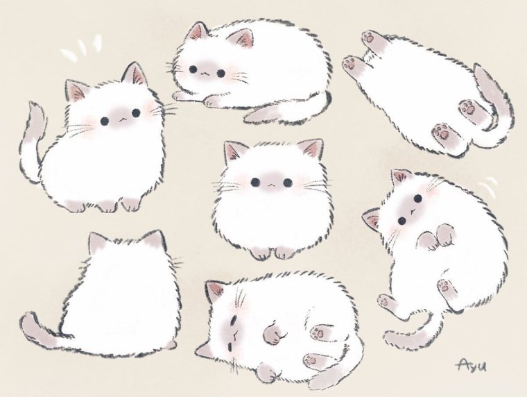 Милые котики рисунки