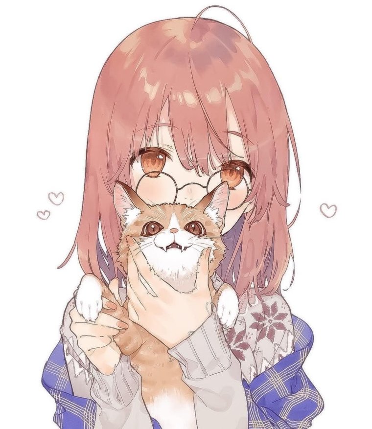 Аниме котики