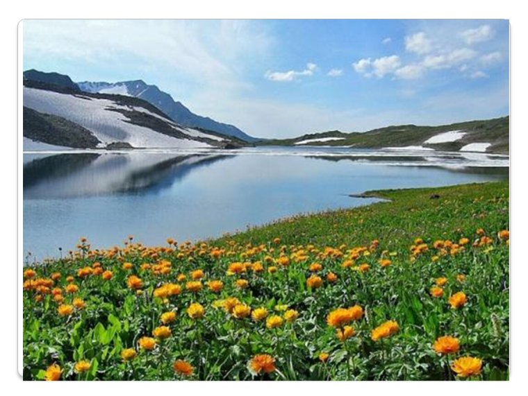 Растительный мир озера