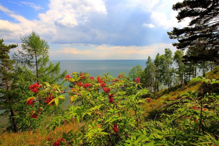 Дендропарк Листвянка Байкал