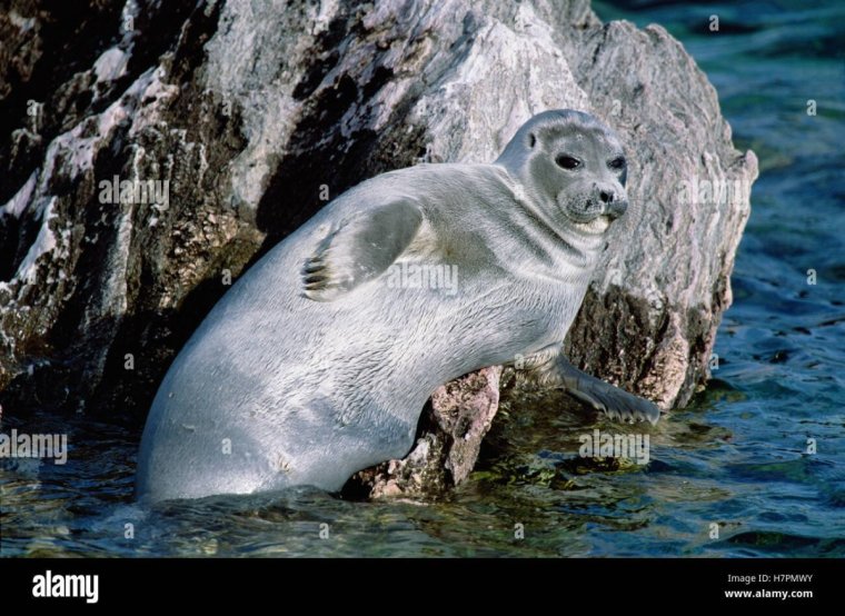 Konrad Wothe Байкал