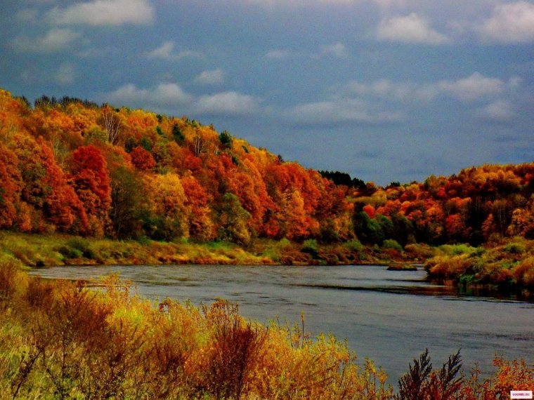 Национальный парк Угра осенью