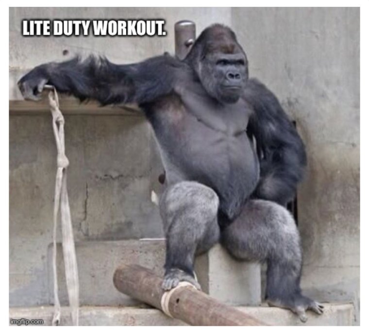 Горилла мышцы без шерсти