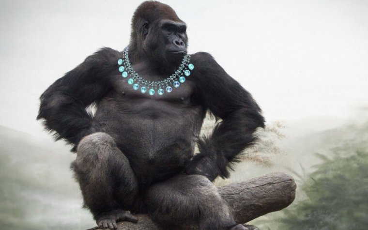Горилла Кинг Конг