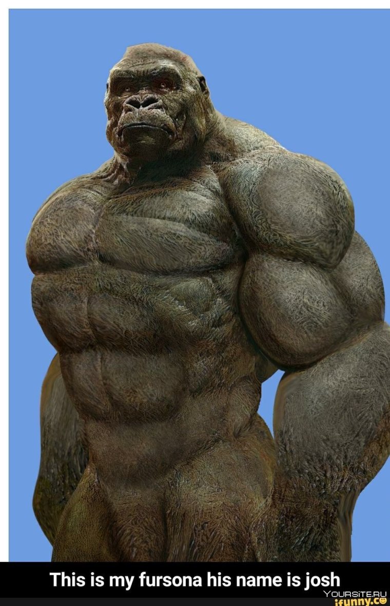 Мускулистая горилла