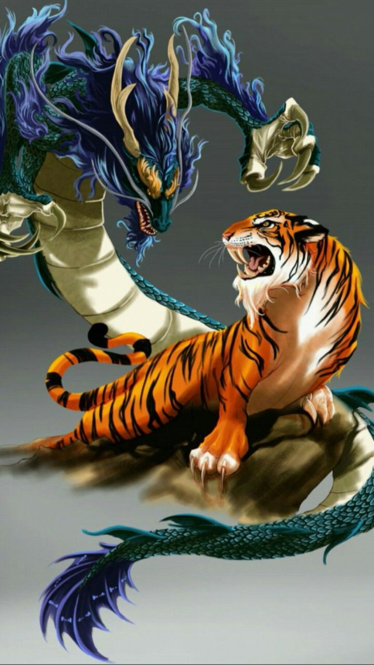 Тигр vs драгон