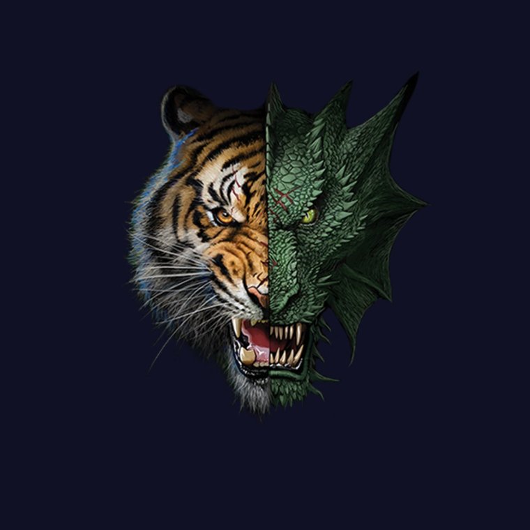 Dragon Tiger Mens Sweatshirt s3xl