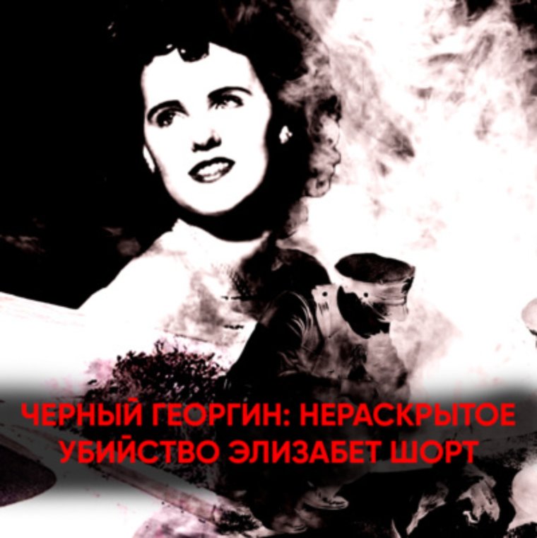 Не расрытое убийство черный георгин