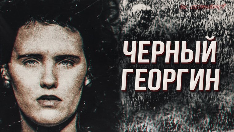 Черный георгин история
