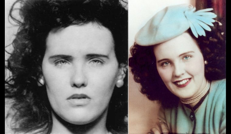 Стив ходел черный георгин