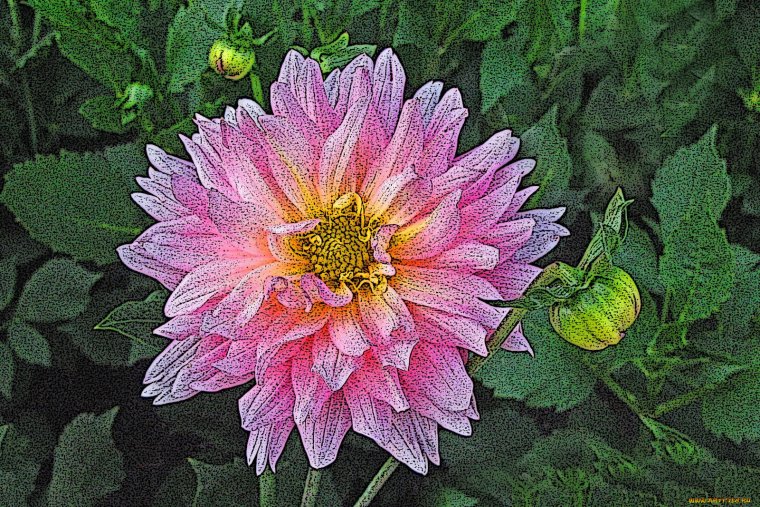 Мозаика георгин