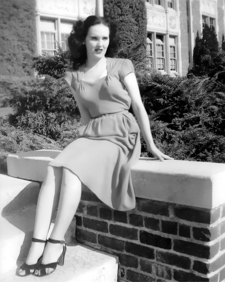 Чёрный георгин Элизабет шорт