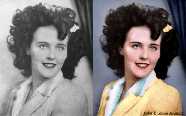 Элизабет шорт черная Орхидея