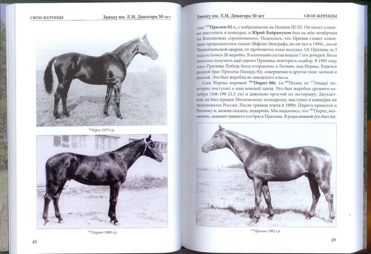 Таблица роста тракененских лошадей