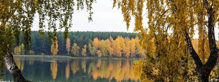 Балезино природа