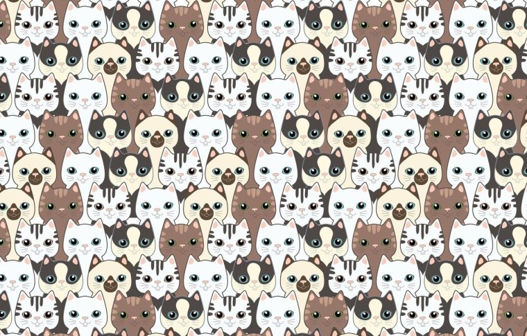 Принты с котиками