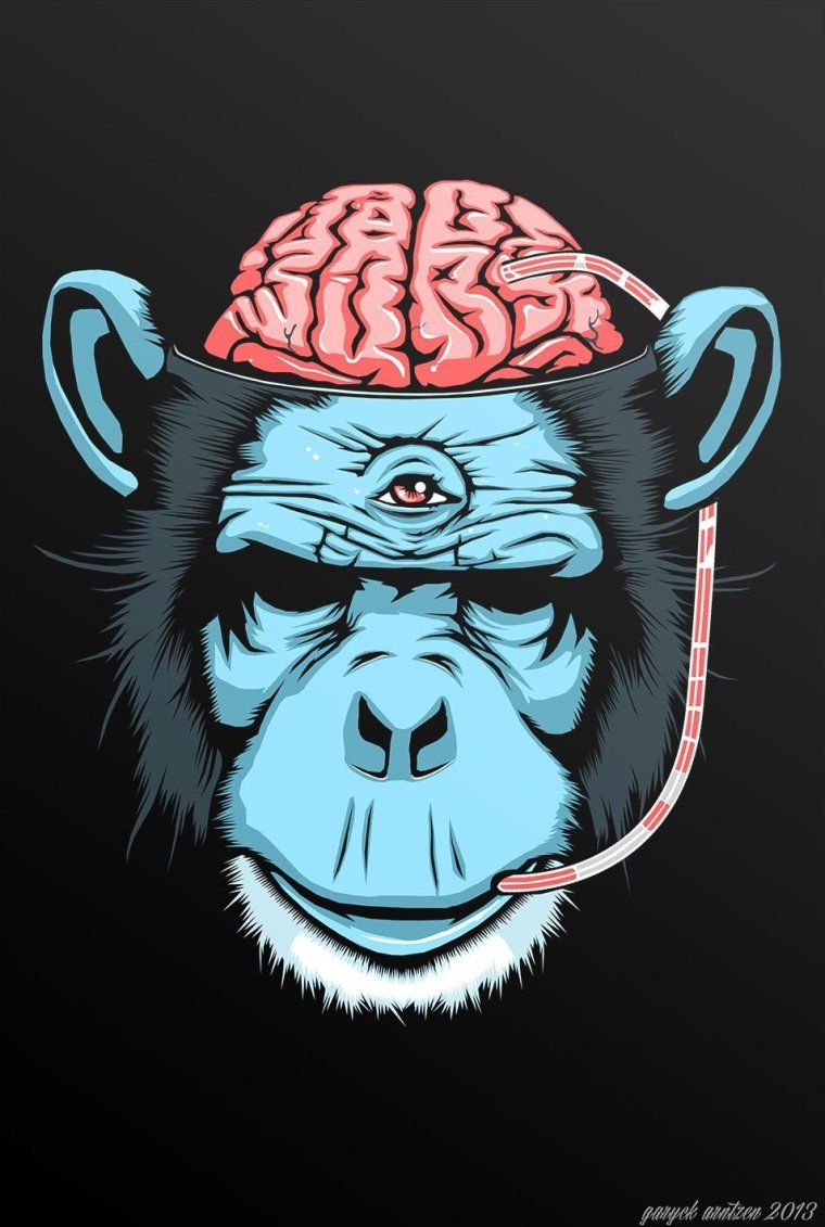 Мартышка психодел