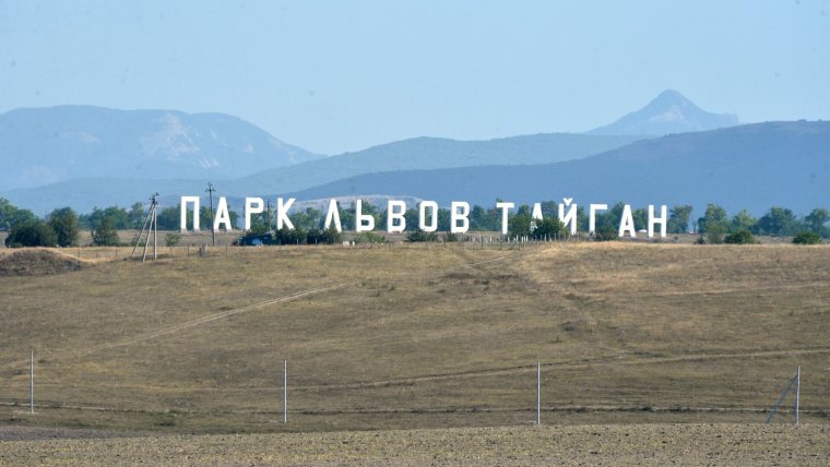 Парк львов тайган