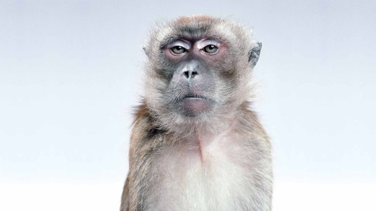 Умное лицо прикол