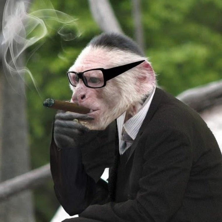 Обезьяна с сигаретой