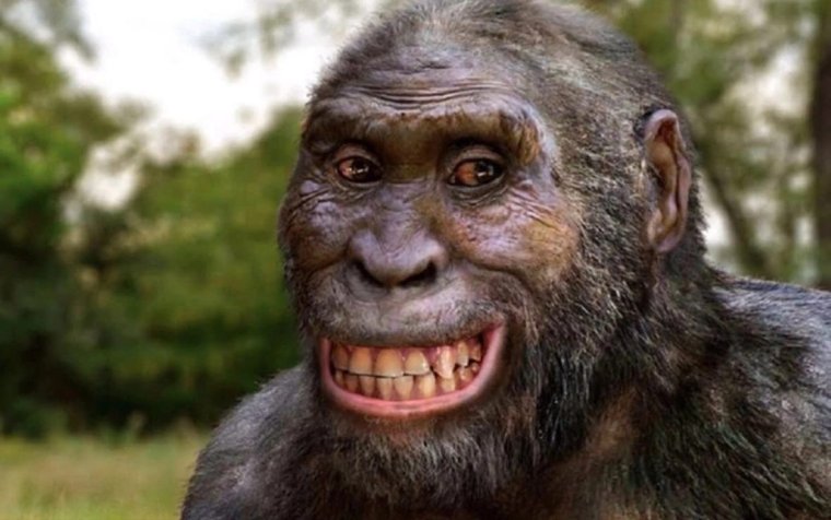 Австралопитек Эфиопский