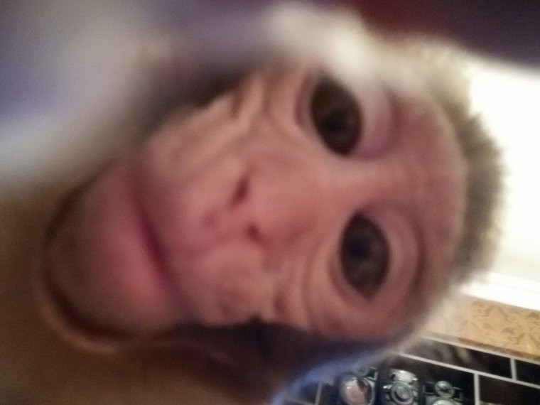 Животные фоткаются на фронталку