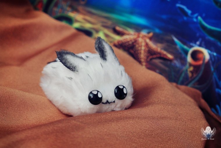 Морской кролик