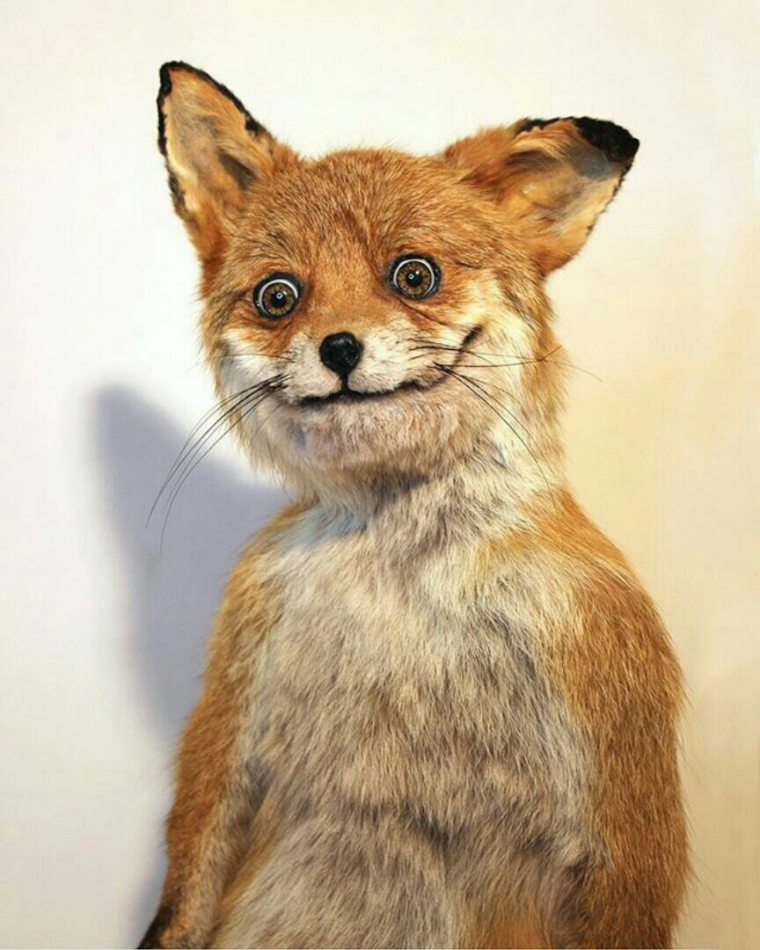 Упоротый Лис