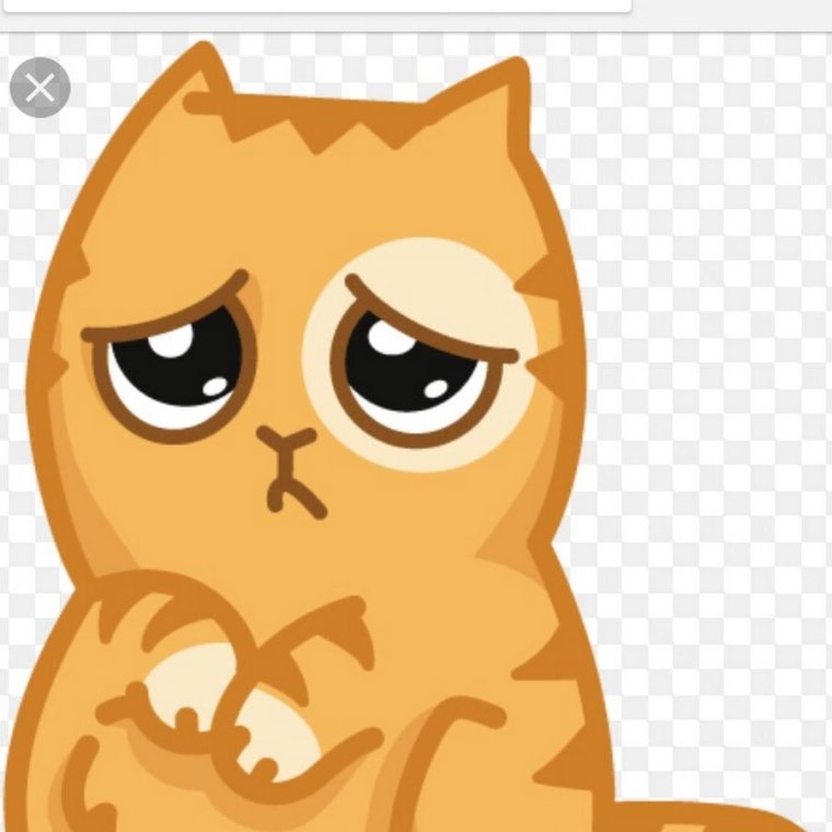 Кот персик Стикеры