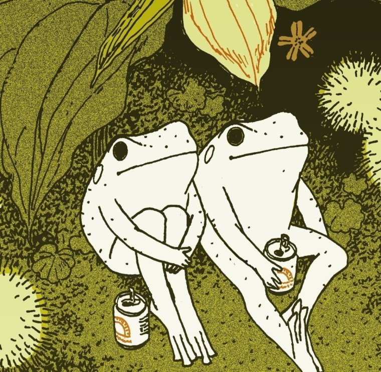 Эстетика в стиле инди КИД лягушки