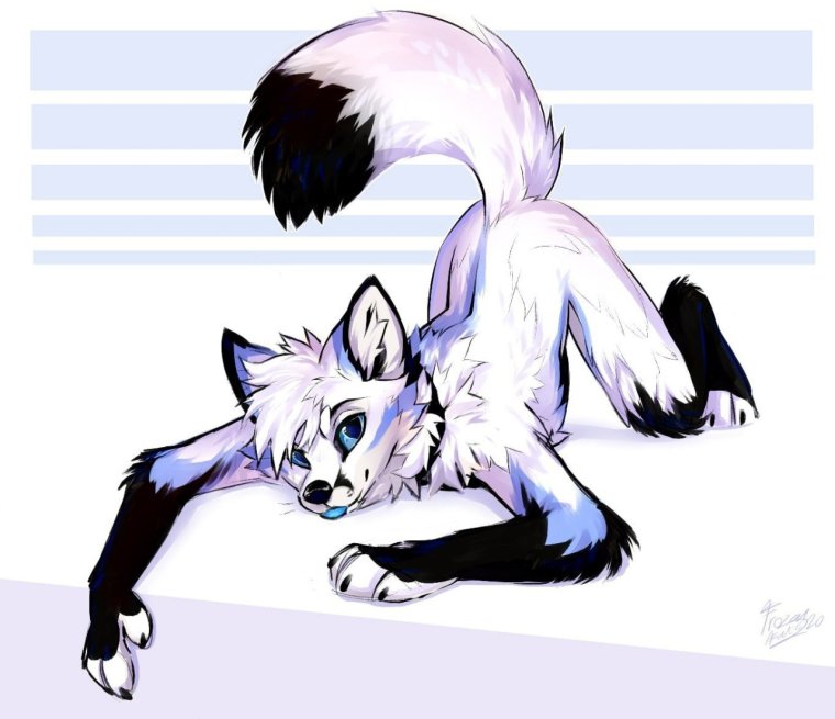 Белая лиса фурри арт