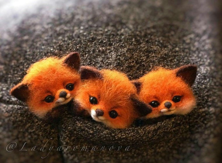 Доброе утро Лисичка