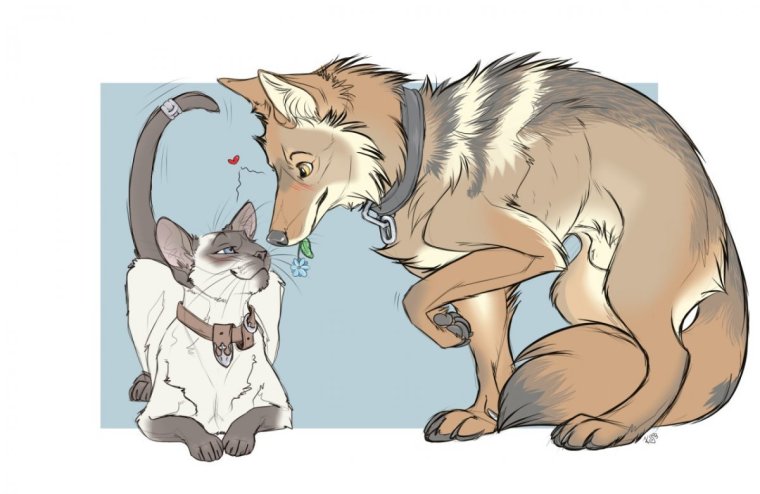 Кот и собака арт