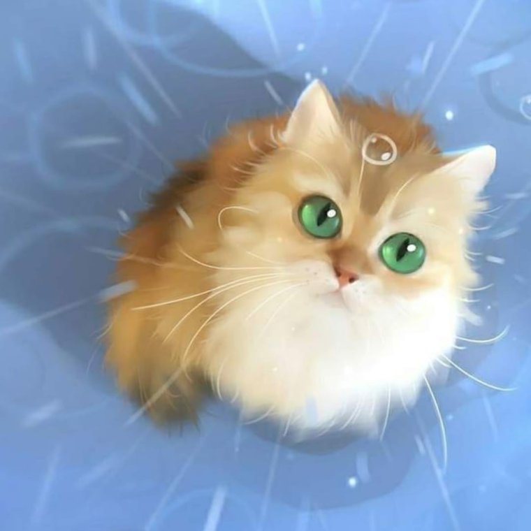 Рихард Донскис