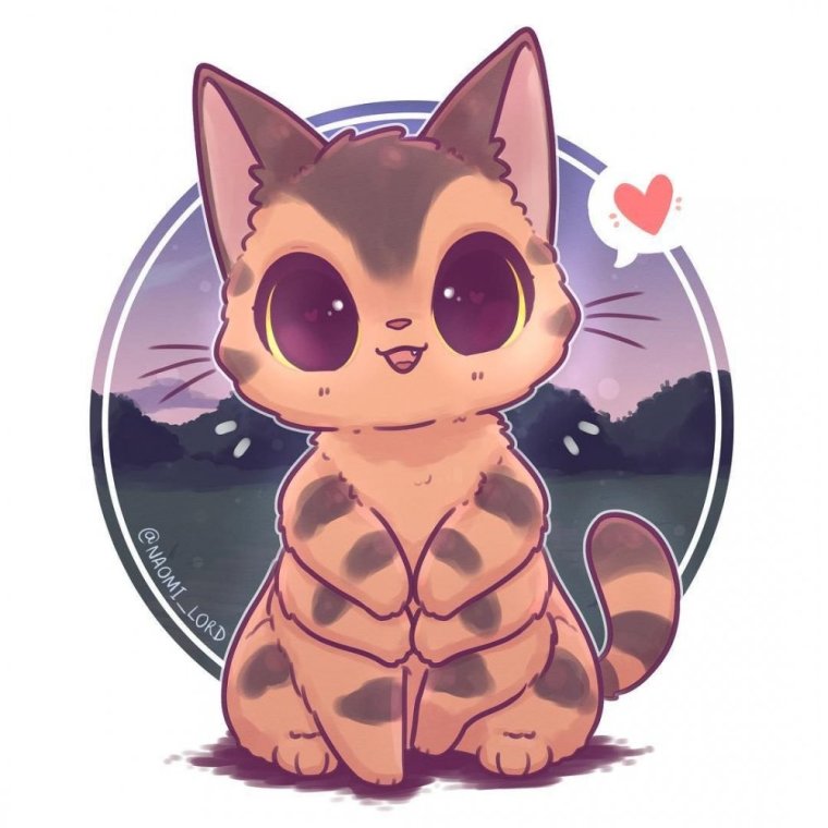 Наоми Лорд котики