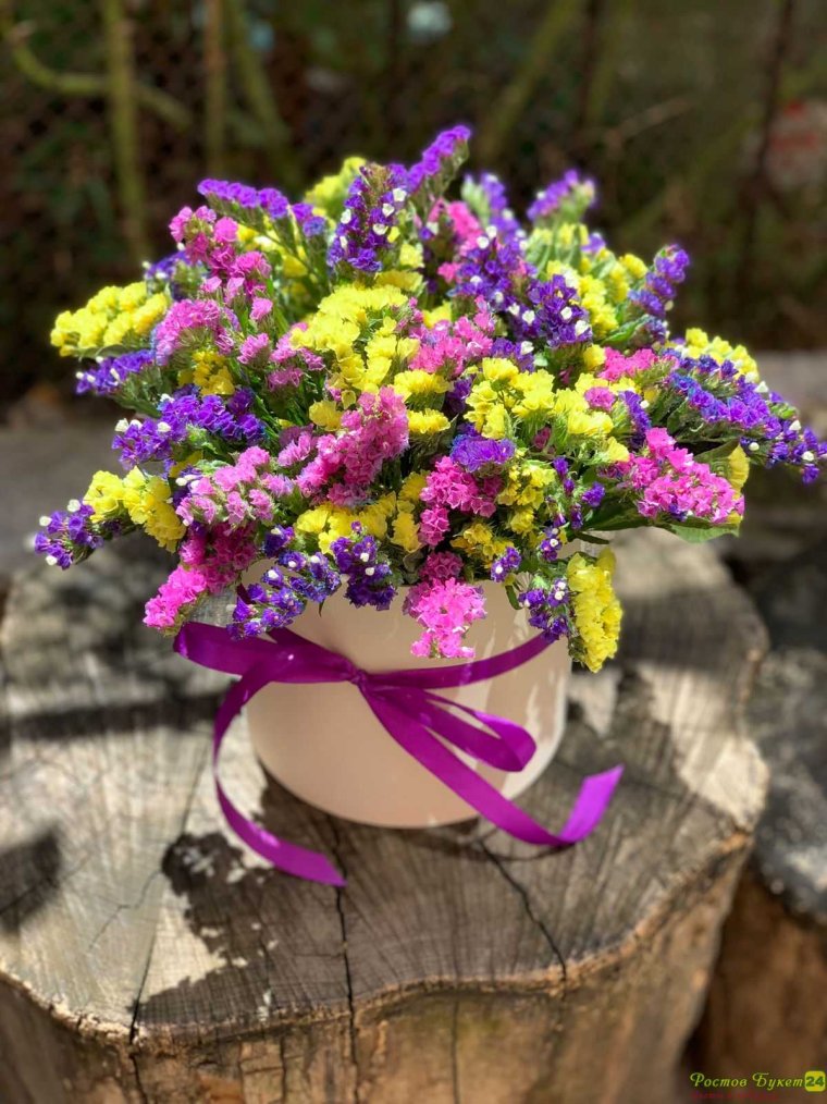 Статица букет разноцветный