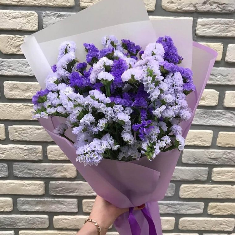 Статица Монобукет