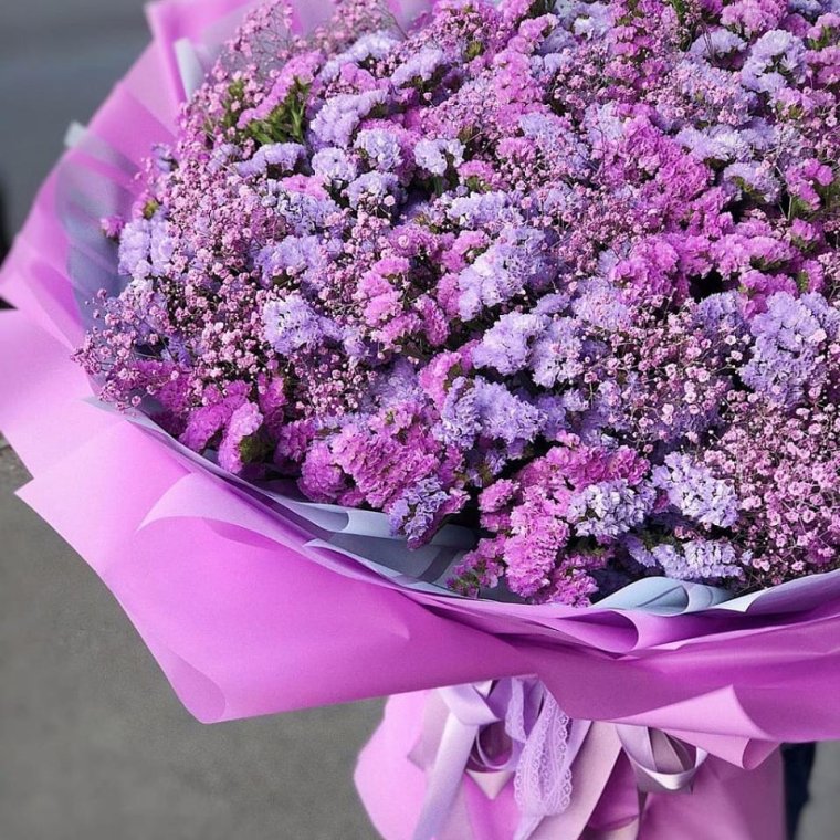 Гипсофила и статица