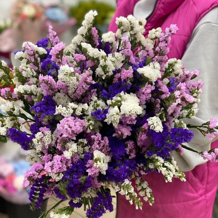 Лимониум Канзас Блю