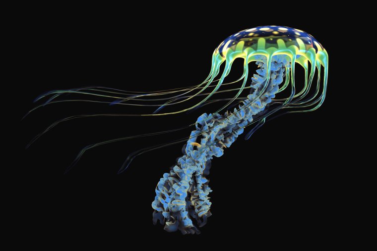 Медуза абстракция