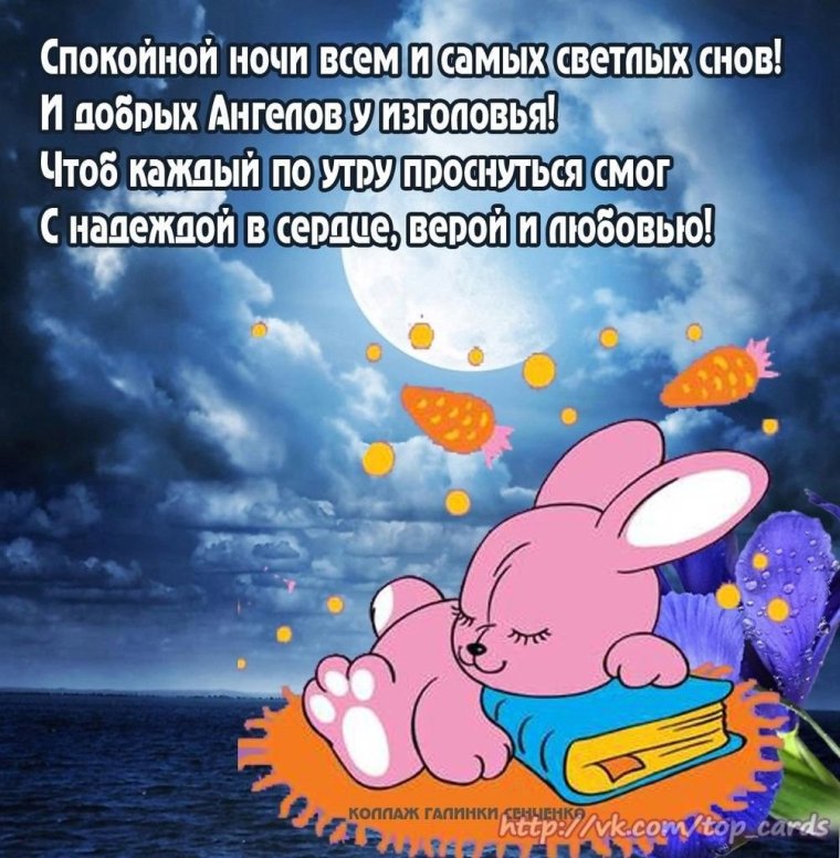 Прикольные пожелания спокойной ночи