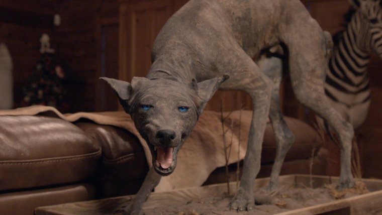 Необъяснимо но факт чупакабра