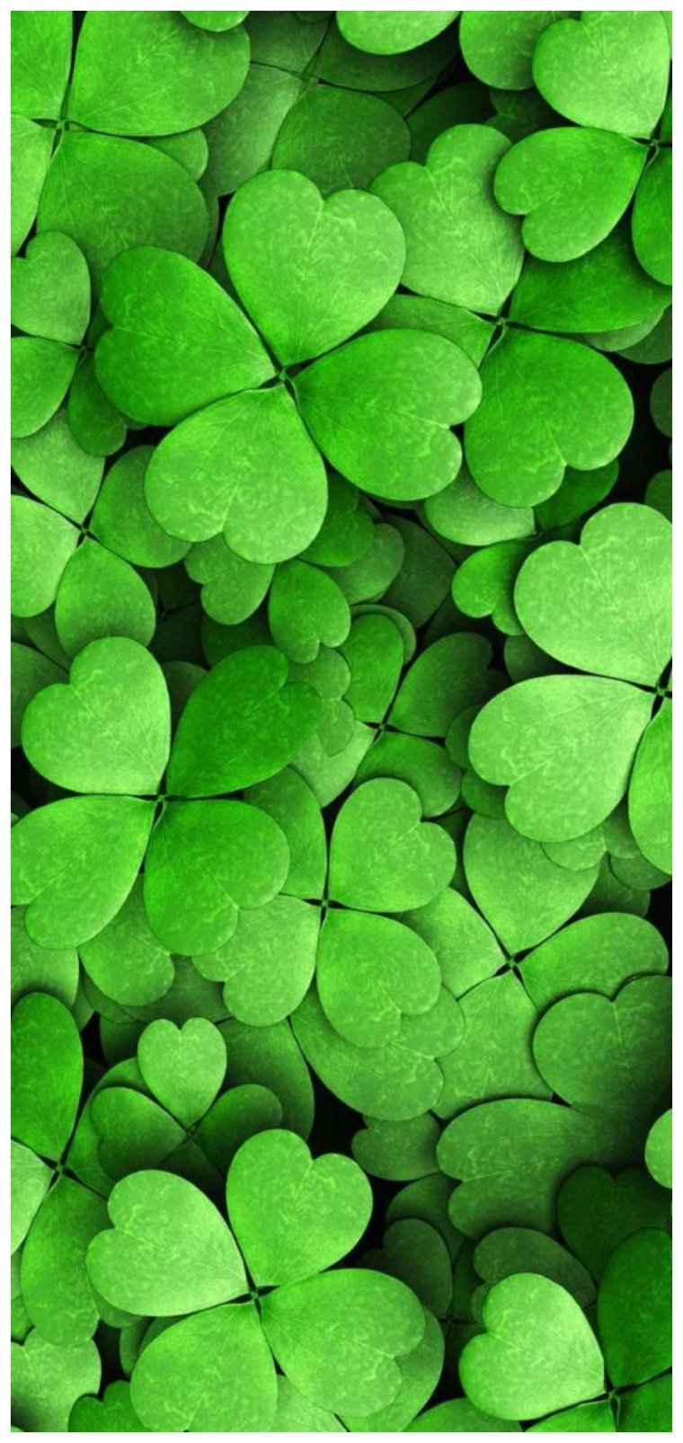 Четырехлистный Клевер Эстетика