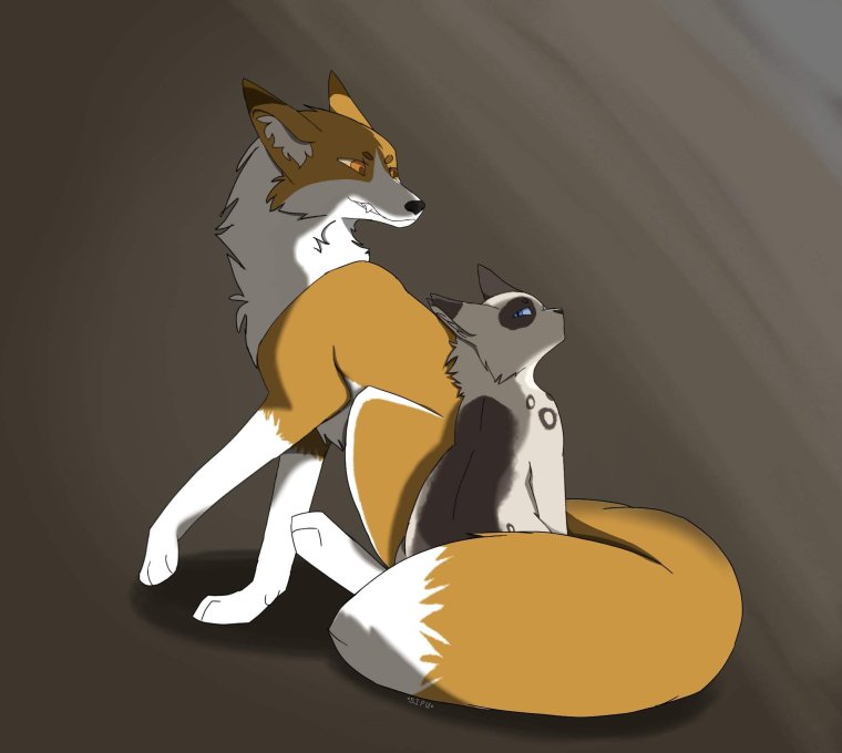 Лис и котенок арт