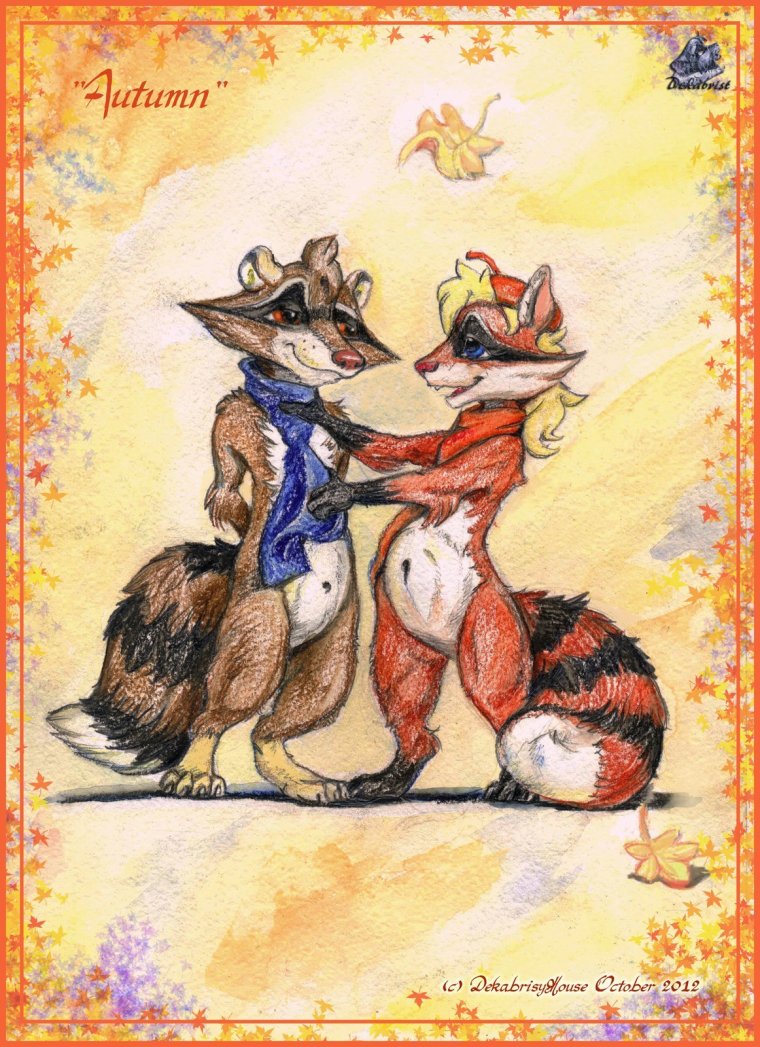 Енот и лиса