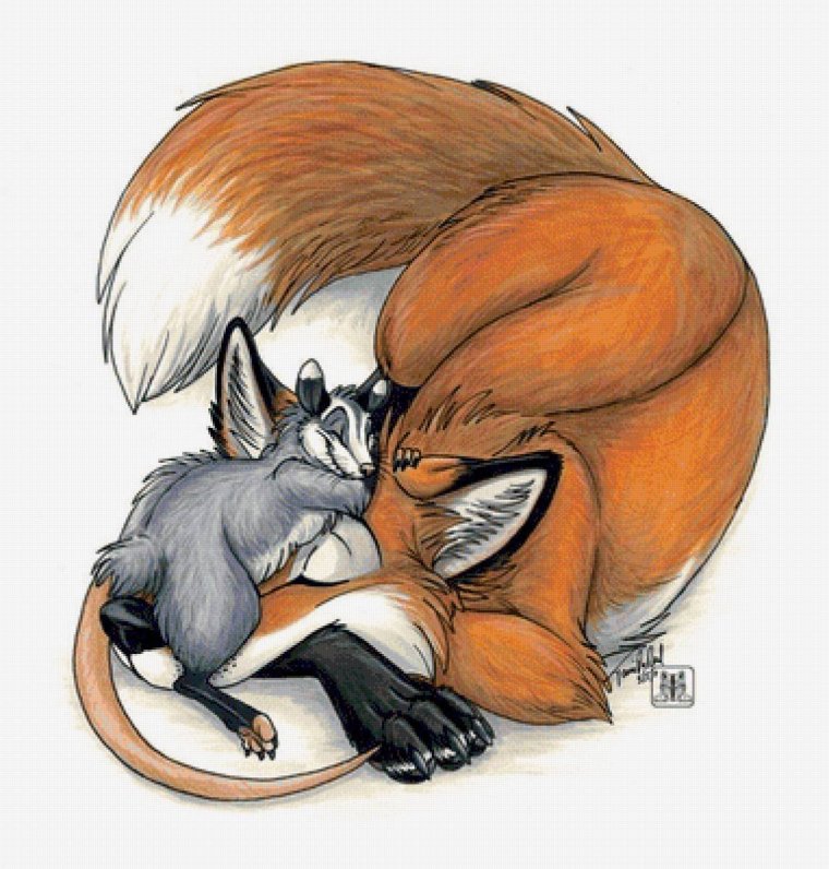 Лиса обнимает лису