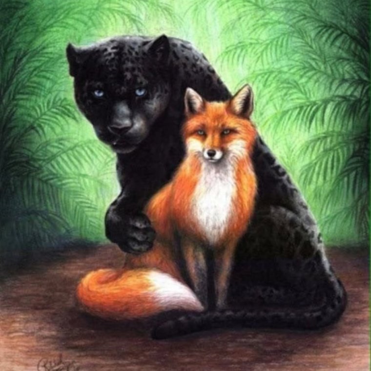 Пантера и лиса