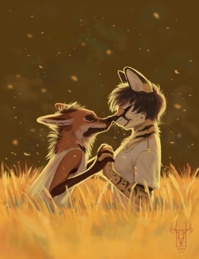 Фурри обнимашки