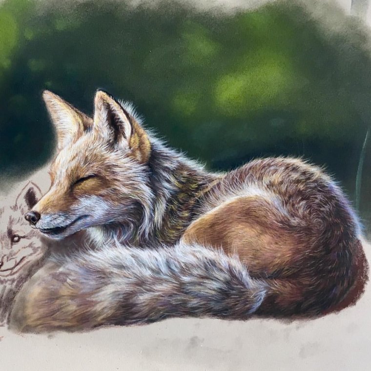 Волк и лиса любовь